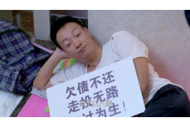 古浪融资清欠服务